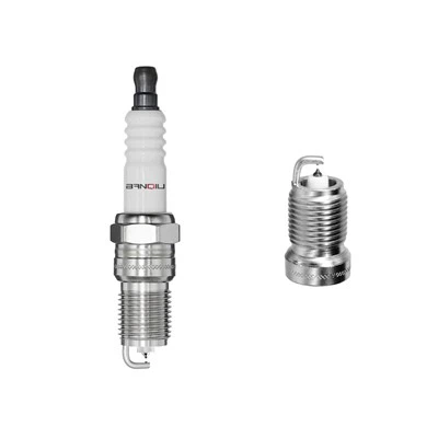 Platinum tändstift ptr6d -13 5598